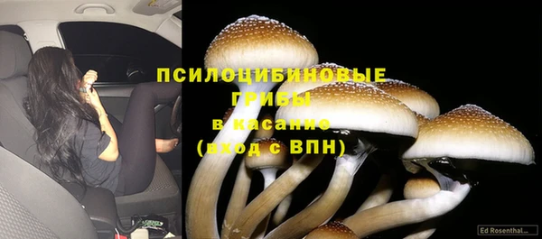 мескалин Зерноград