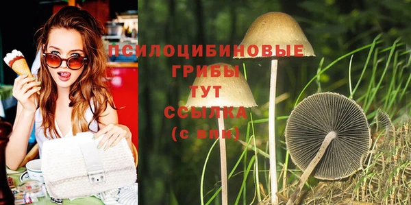 крисы Горнозаводск