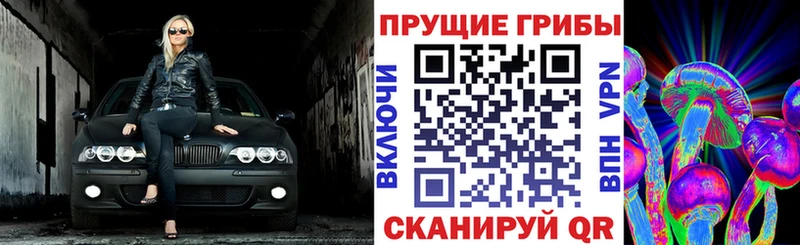 Галлюциногенные грибы Cubensis  купить закладку  Ак-Довурак 